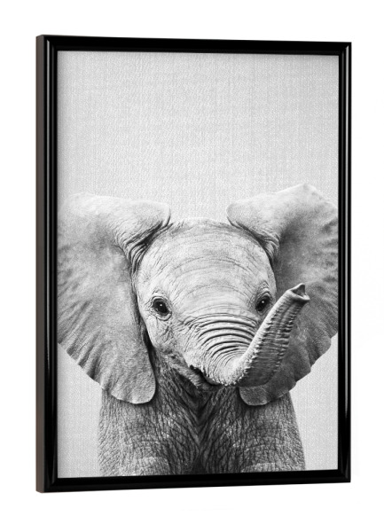 Poster mit schwarzem Rahmen "Baby Elephant - Black & White" artboxONE - Natur,Für Kinder,Tiere,Reise / Afrika,Liebe