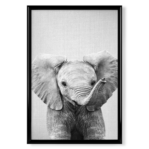 Baby Elephant - Black & White