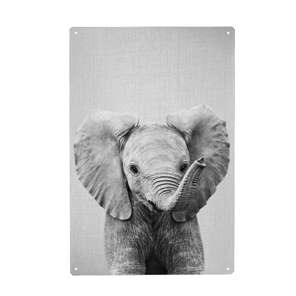 Holzbild "Baby Elephant - Black & White" artboxONE - Natur,Für Kinder,Tiere,Reise / Afrika,Liebe