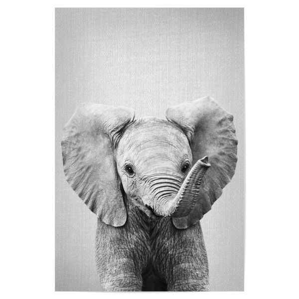 Poster 30x20 cm "Baby Elephant - Black & White" artboxONE - Natur,Für Kinder,Tiere,Reise / Afrika,Liebe