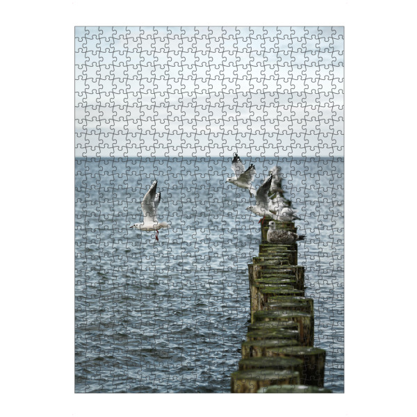 artboxONE Puzzle "Möwen auf einer Buhnenreihe" artboxONE - Natur,Tiere,Reise / Strand und Meer