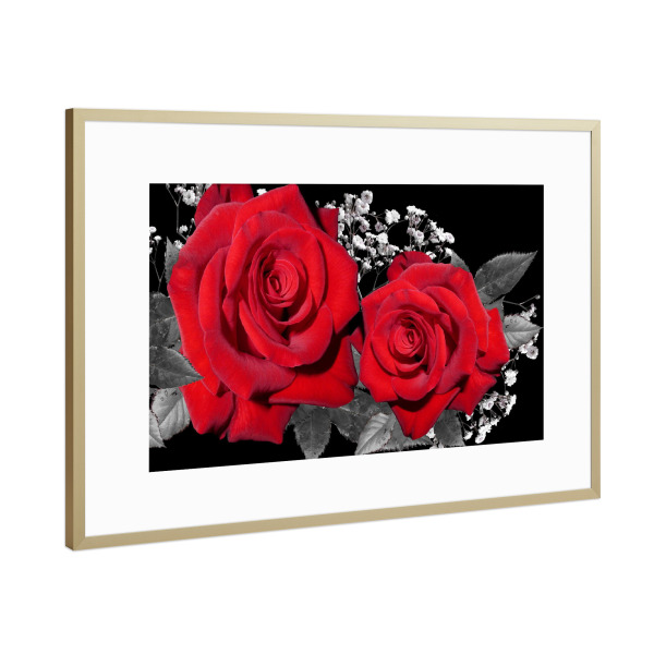 Poster mit Rahmen Gold "Rosen Treue rot" artboxONE - Natur,Floral,Abstrakt - Rose,Treue,Liebe,Blume,Flower,Red,Love,Floral,Nature,Natur