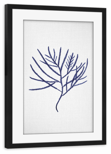 Poster mit Rahmen schwarz "Seaweed in watercolor" artboxONE - Natur,Floral