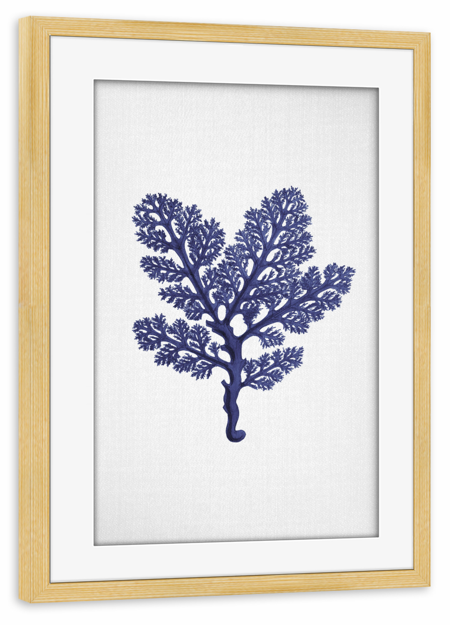 Poster mit Rahmen kiefer "Seaweeds" artboxONE - Natur,Floral,Unterwasser