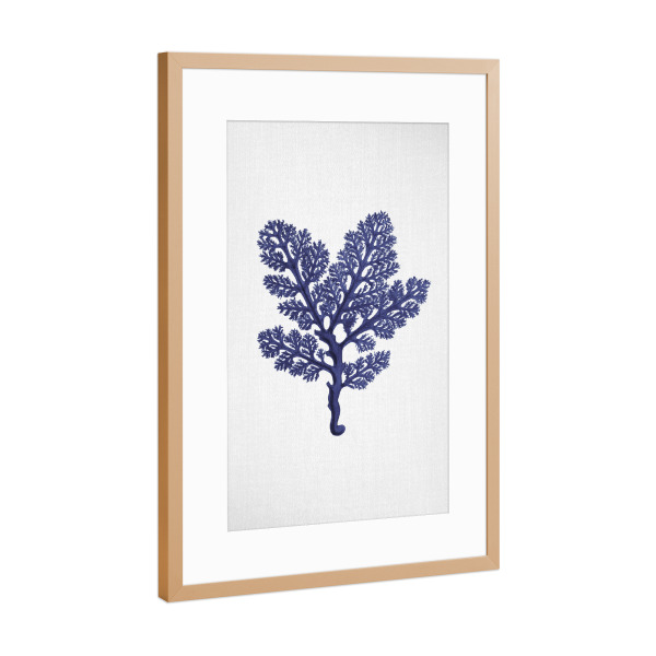 Poster mit Rahmen Kupfer "Seaweeds" artboxONE - Natur,Floral,Unterwasser