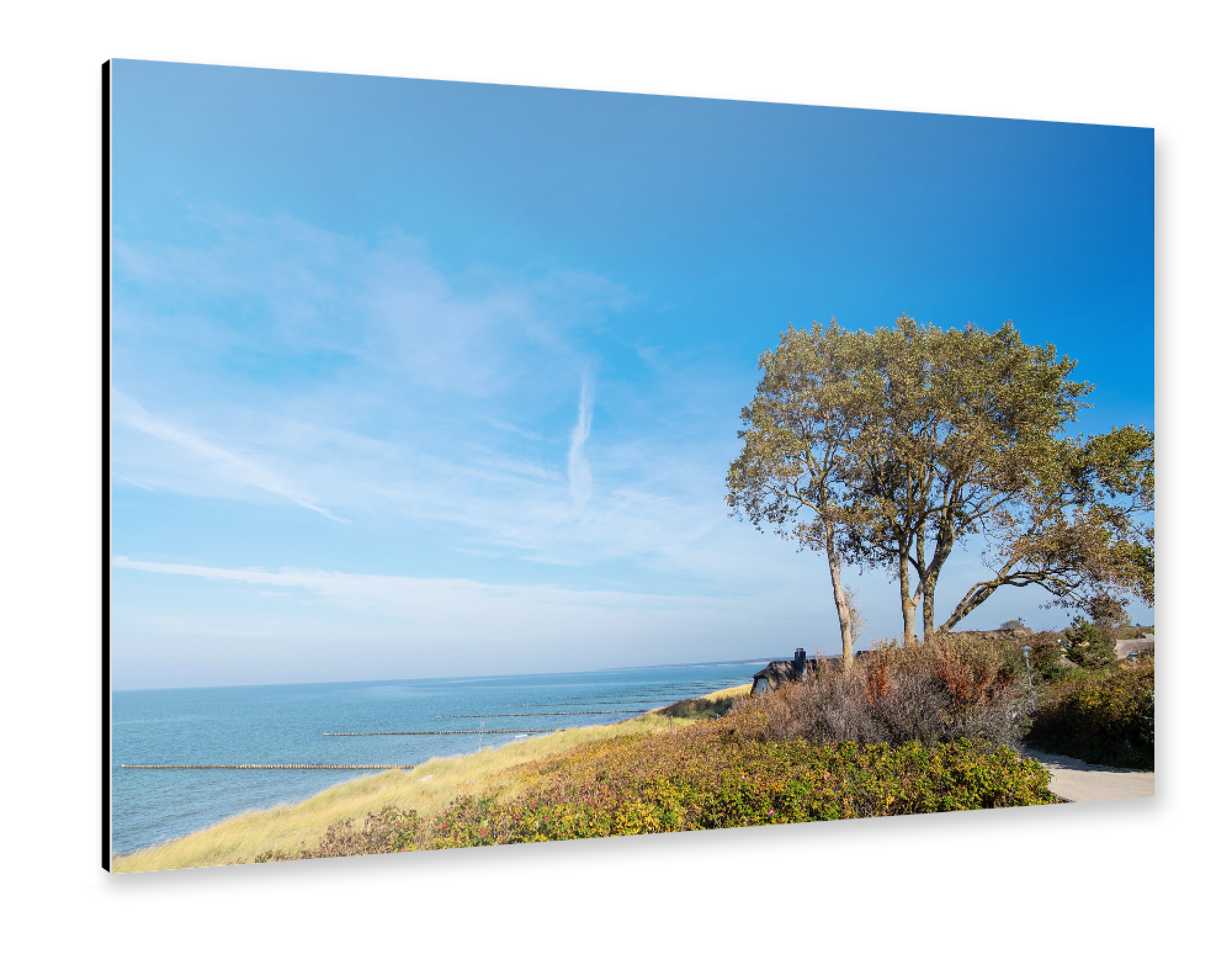 Alu-Dibond "Ostseeküste in Ahrenshoop" 30x20 cm artboxONE