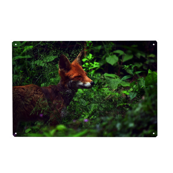 Holzbild "Rotfuchs" artboxONE - Natur,Tiere