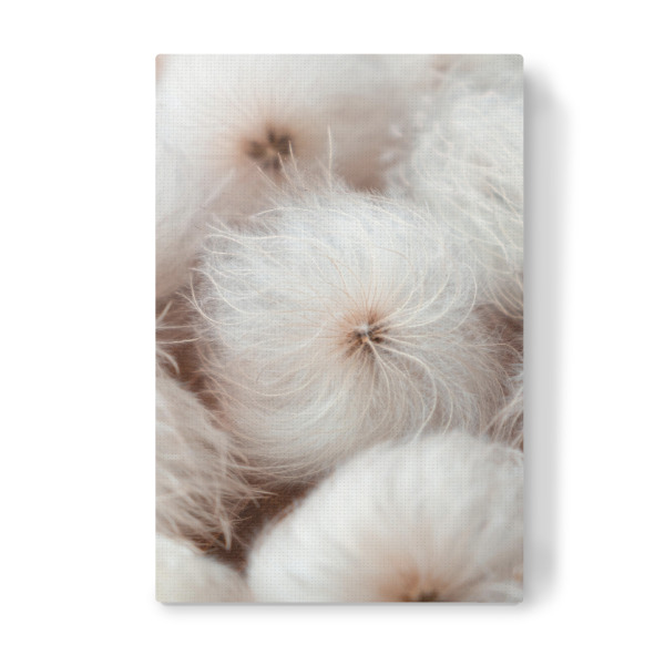 Leinwandbild "White pureness" artboxONE - Natur,Floral