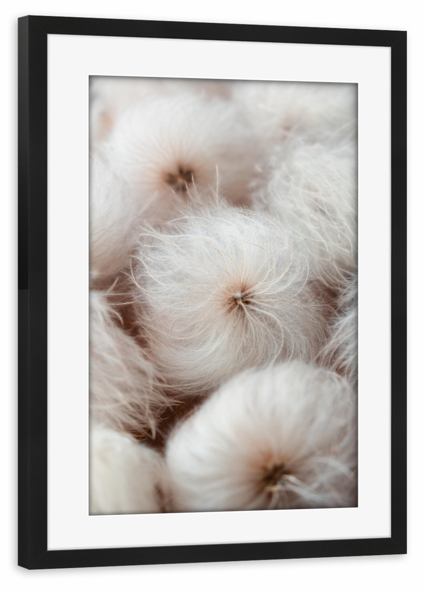 Poster mit Rahmen schwarz "White pureness" artboxONE - Natur,Floral