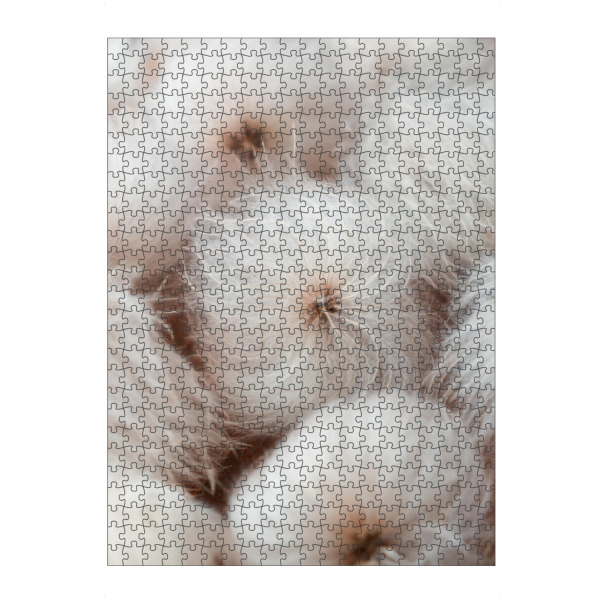 artboxONE Puzzle "White pureness" artboxONE - Natur,Floral