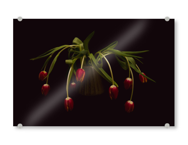 Acrylglasbild "Tulpen auf schwarz" artboxONE - Floral - Tulpen,Frühling,Schwarz,Blumen,Blüten,Vase mit blume,Stillleben,Flowers,Floral,Dark,Botanical