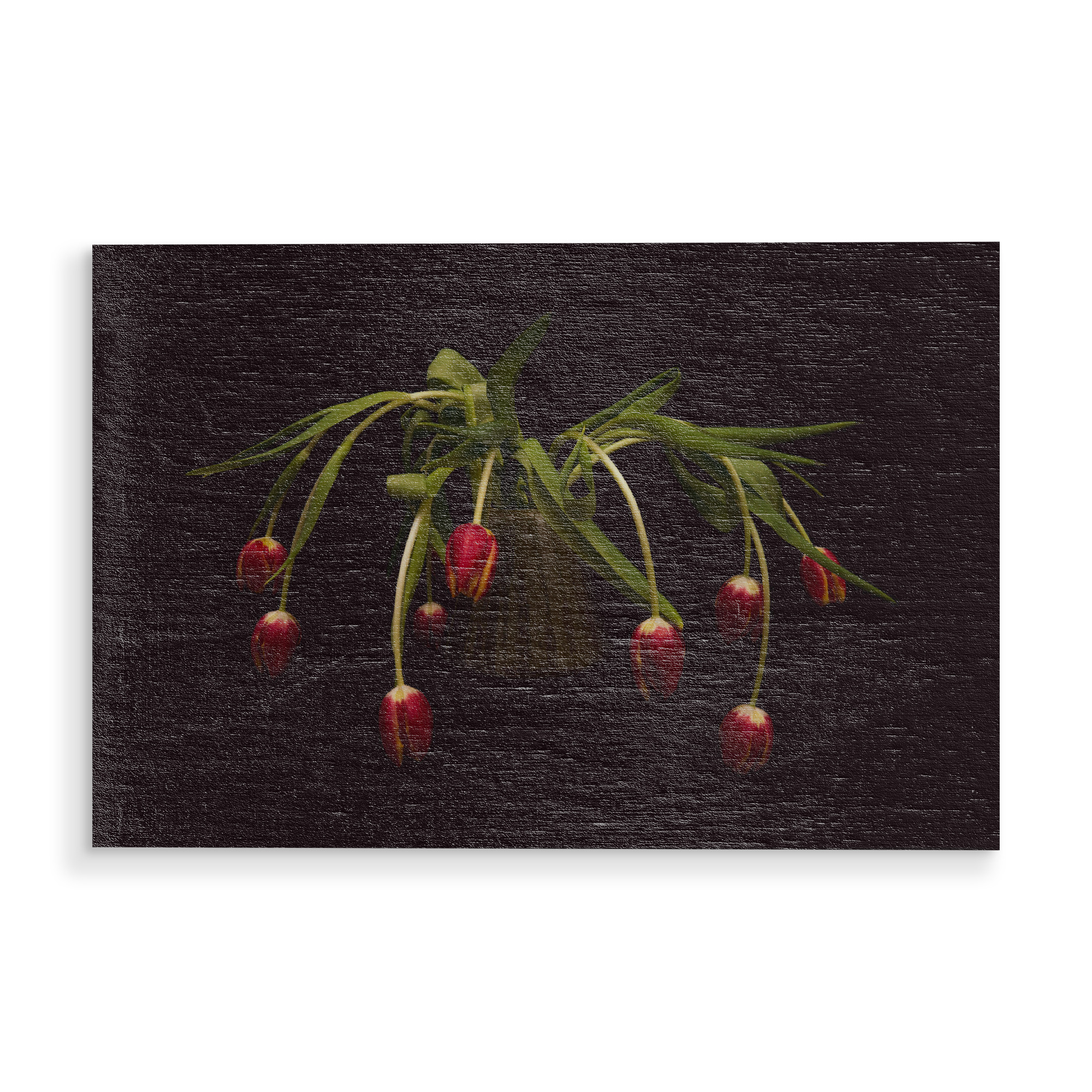 Holzbild "Tulpen auf schwarz" artboxONE - Floral - Tulpen,Frühling,Schwarz,Blumen,Blüten,Vase mit blume,Stillleben,Flowers,Floral,Dark,Botanical