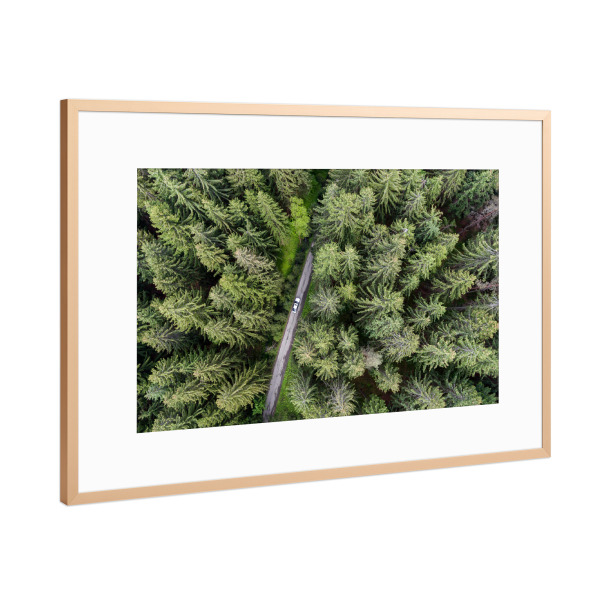 Poster mit Rahmen Kupfer "Mite in forest" artboxONE - Natur,Reise,Automobile