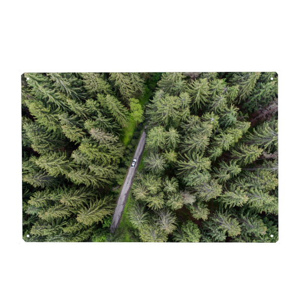 Metall Poster "Mite in forest" artboxONE - Natur,Reise,Automobile