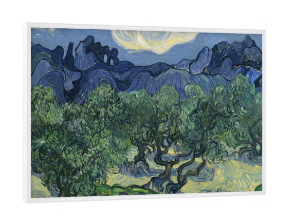Poster mit weißem Rahmen "Olivenbäume" artboxONE - Natur