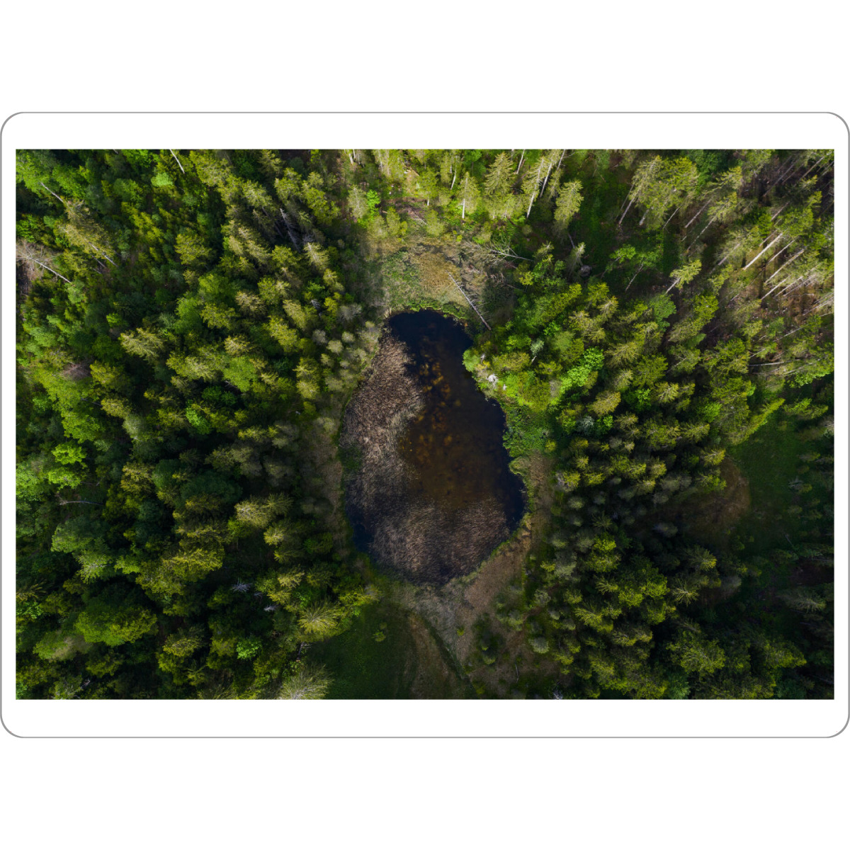 Tischset "Aerial view of small pond" artboxONE - Natur,Reise
