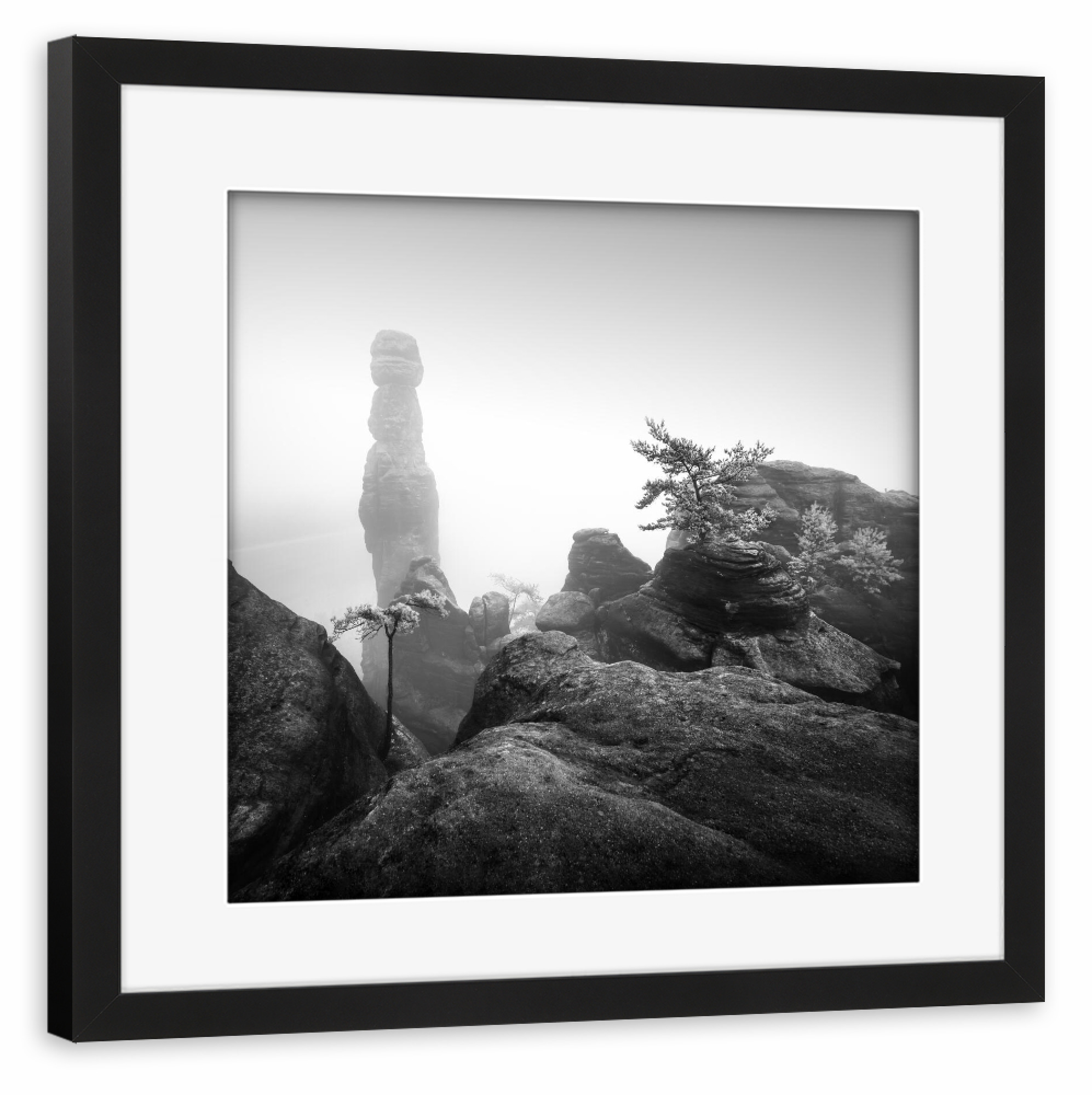 Poster mit Rahmen schwarz "Barbarine III | Deutschland" artboxONE - Natur,Schwarzweiß,Reise / Länder,Städte / Dresden