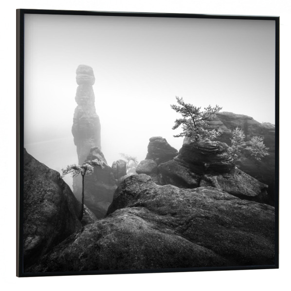 Poster mit schwarzem Rahmen 30x30 cm "Barbarine III | Deutschland" artboxONE - Natur,Schwarzweiß,Reise / Länder,Städte / Dresden