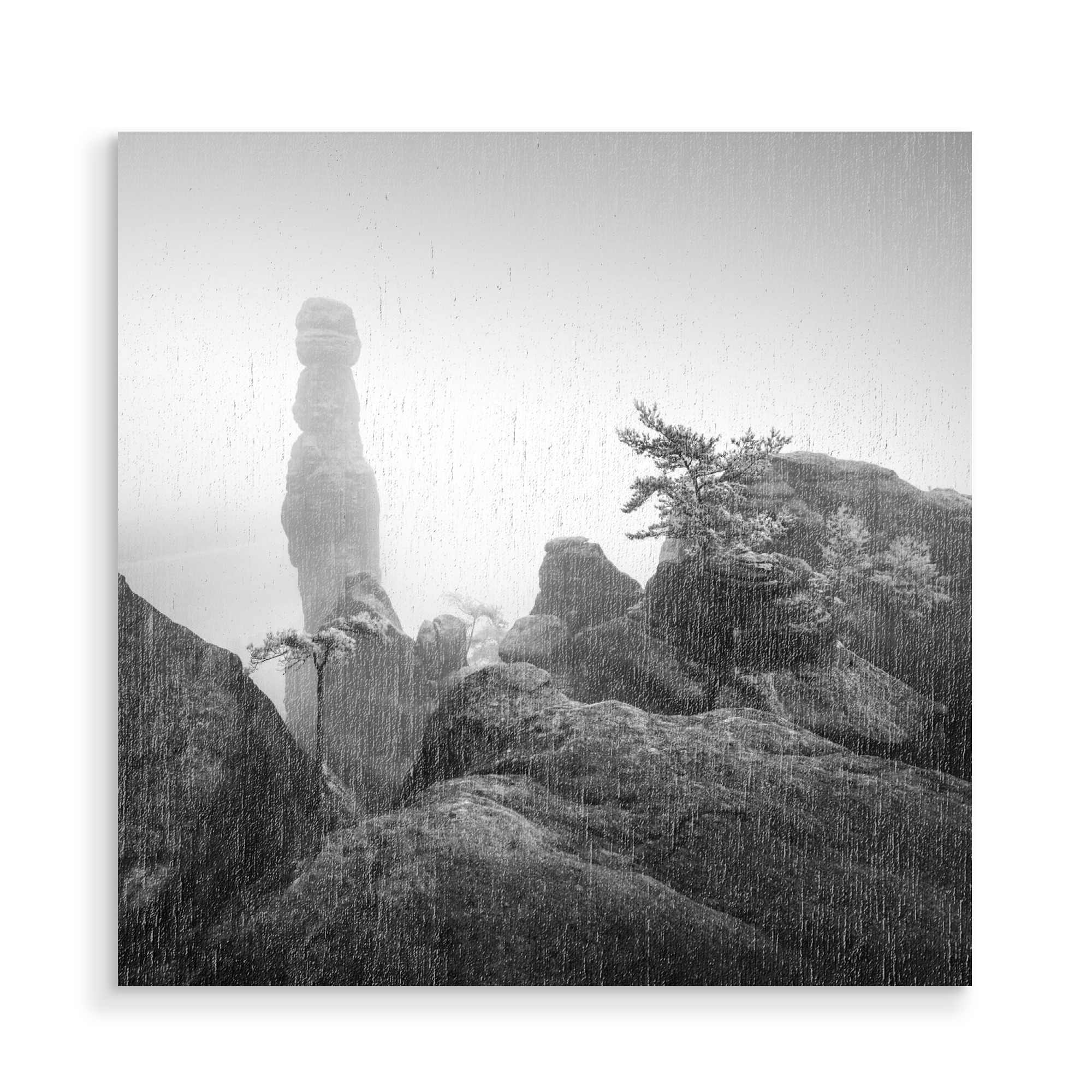 Holzbild "Barbarine III | Deutschland" artboxONE - Natur,Schwarzweiß,Reise / Länder,Städte / Dresden