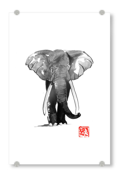 Acrylglasbild "Elpehant walking" artboxONE - Tiere - Elephant,Sumie,Japan,Elefant,Tier,Animal,Natur,Nature,Wild,Schwarzweiß,Blackandwhite