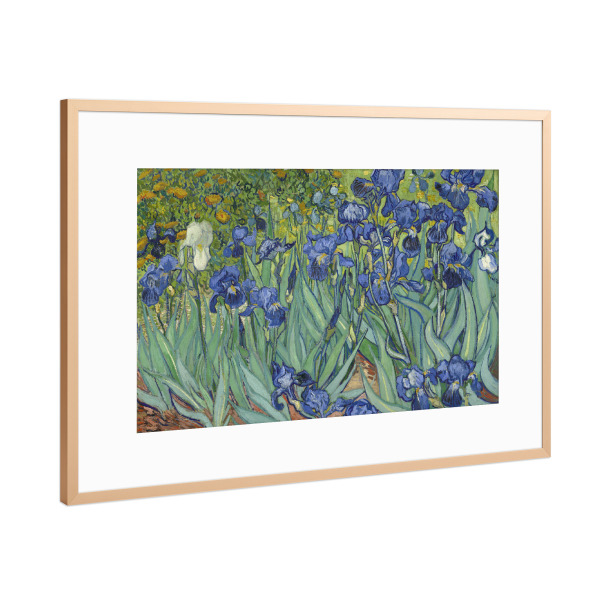 Poster mit Rahmen Kupfer "Irise von Vincent van Gogh" artboxONE - Natur,Floral