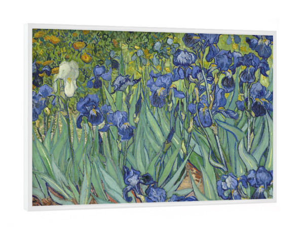 Poster mit weißem Rahmen "Irise von Vincent van Gogh" artboxONE - Natur,Floral