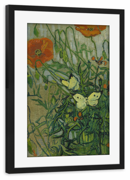 Poster mit Rahmen schwarz "Schmetterlinge und Mohnblumen" artboxONE - Natur,Floral,Tiere