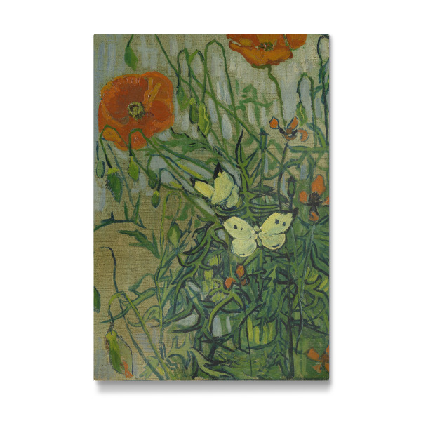 Galerie-Print "Schmetterlinge und Mohnblumen" 30x20 cm artboxONE