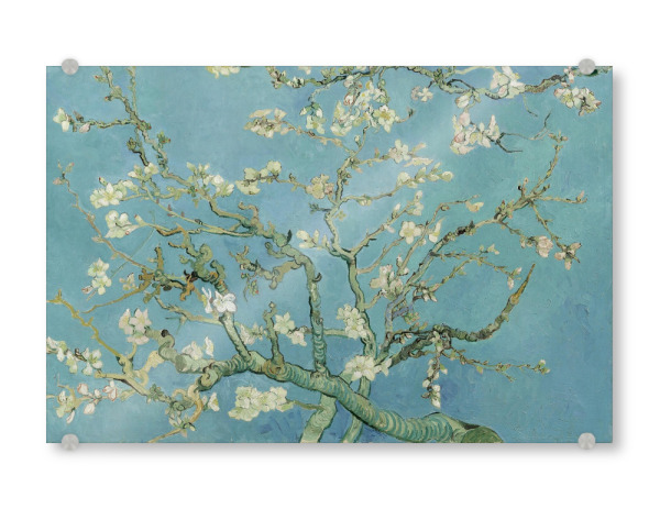 Acrylglasbild "Mandelblüte von Vincent van Gogh" artboxONE - Natur,Floral