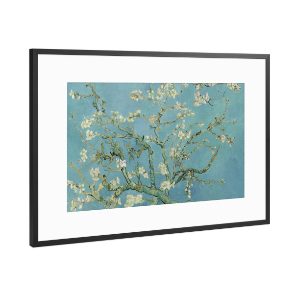Poster mit Rahmen Schwarz (Metallic) "Mandelblüte von Vincent van Gogh" artboxONE - Natur,Floral