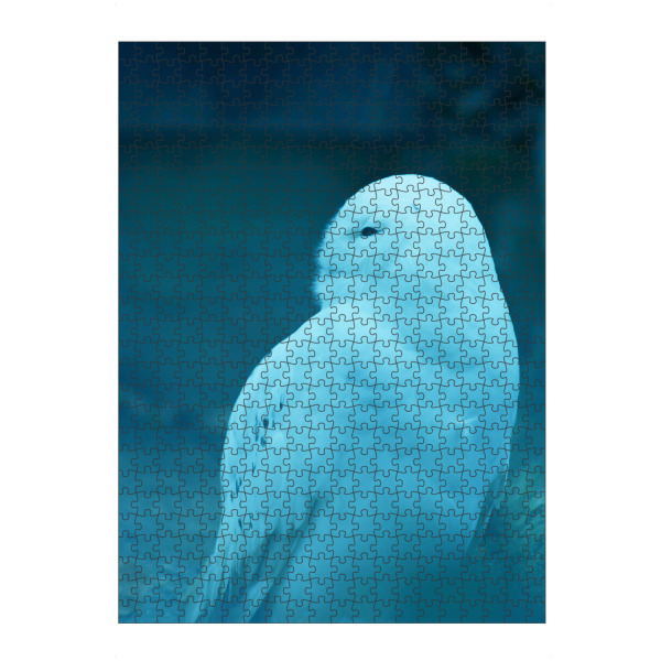 Puzzle Ravensburger "Sitzende Schneeeule" artboxONE - Natur,Reise,Tiere