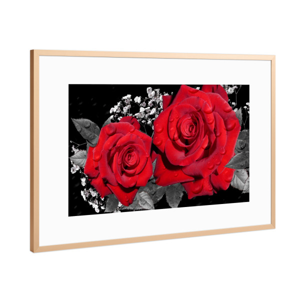 Poster mit Rahmen Kupfer "Rote Rosenliebe" artboxONE - Floral - Rose,Liebe,Blume,Colorkey,Love,Floral,Nature,Natur,Pflanze,Botanical,Botanisch