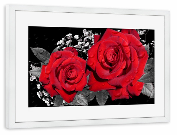 Poster mit Rahmen weiß "Rote Rosenliebe" artboxONE - Floral - Rose,Liebe,Blume,Colorkey,Love,Floral,Nature,Natur,Pflanze,Botanical,Botanisch