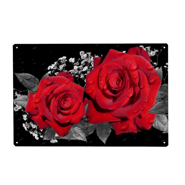 Metall Poster "Rote Rosenliebe" artboxONE - Floral - Rose,Liebe,Blume,Colorkey,Love,Floral,Nature,Natur,Pflanze,Botanical,Botanisch - Blechschild