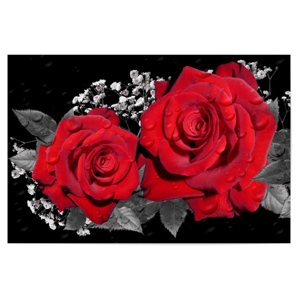 Poster 30x20 cm "Rote Rosenliebe" artboxONE - Floral - Rose,Liebe,Blume,Colorkey,Love,Floral,Nature,Natur,Pflanze,Botanical,Botanisch