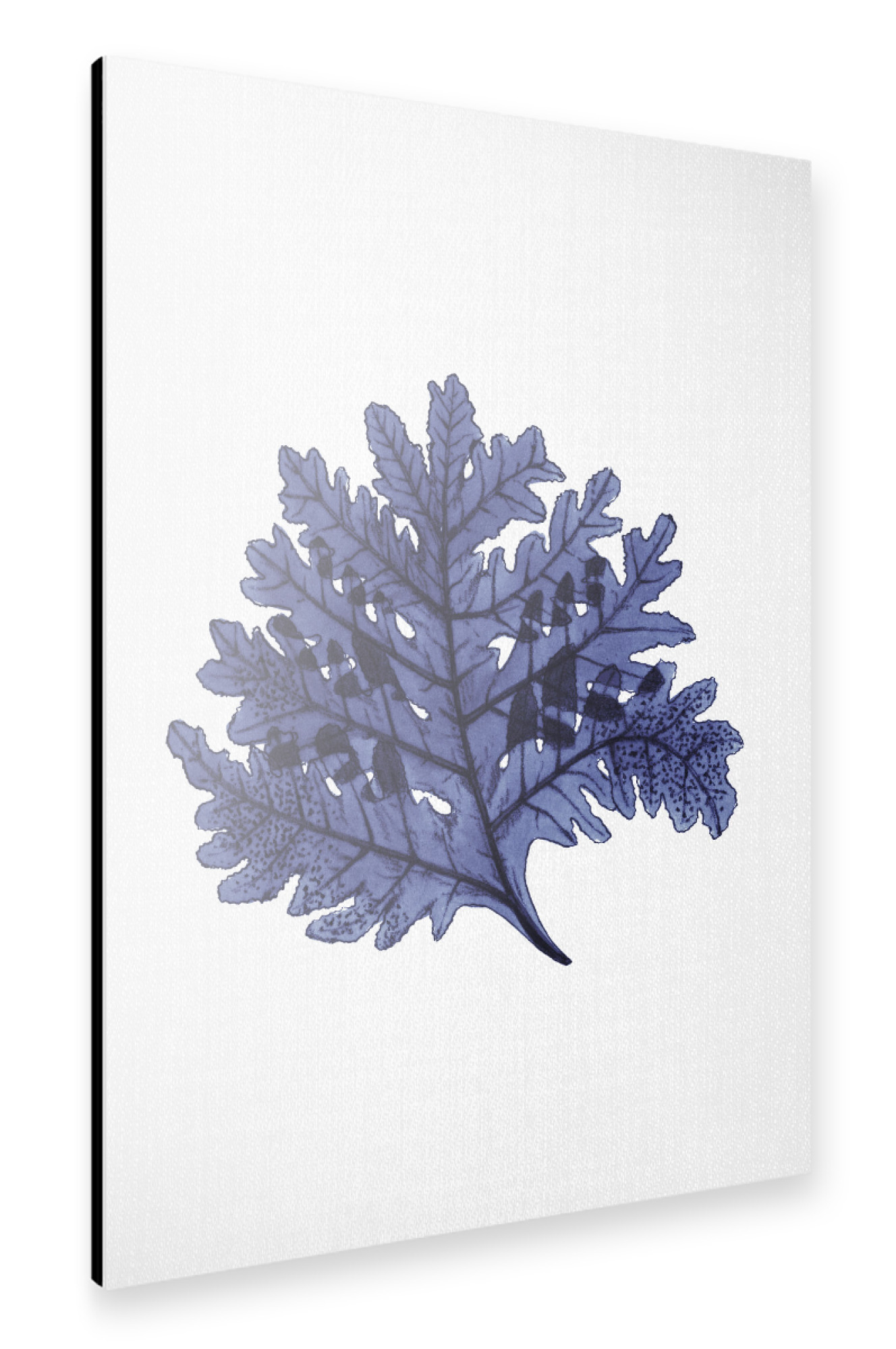 Alu-Dibond "Coral" 30x20 cm artboxONE