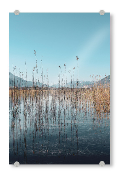 Acrylglasbild "Winter lake" artboxONE - Natur - Natur,Nature,Landschaft,Landscape,Pflanzen,See,Lake,Winter,Sky,Himmel,Fluss