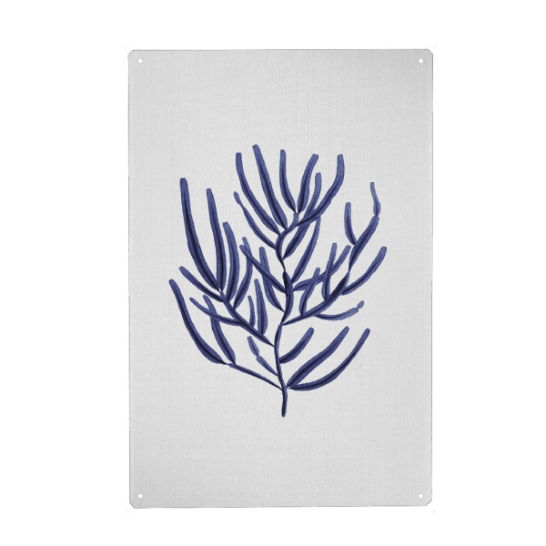 Holzbild "Seaweeds - watercolor" artboxONE - Natur,Floral,Reise / Strand und Meer,Unterwasser