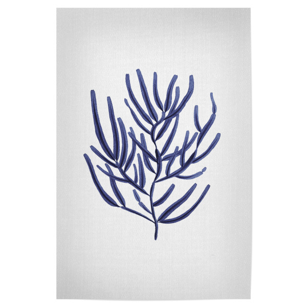 Poster "Seaweeds - watercolor" artboxONE - Natur,Floral,Reise / Strand und Meer,Unterwasser