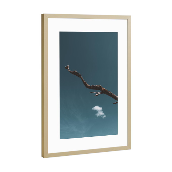 Poster mit Rahmen Gold "Minimalist Branch" artboxONE - Natur