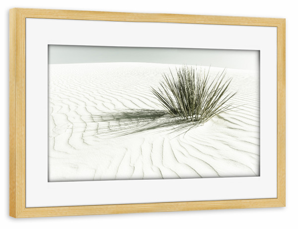 Poster mit Rahmen kiefer "Vintage Düne" artboxONE - Natur,Reise / Länder