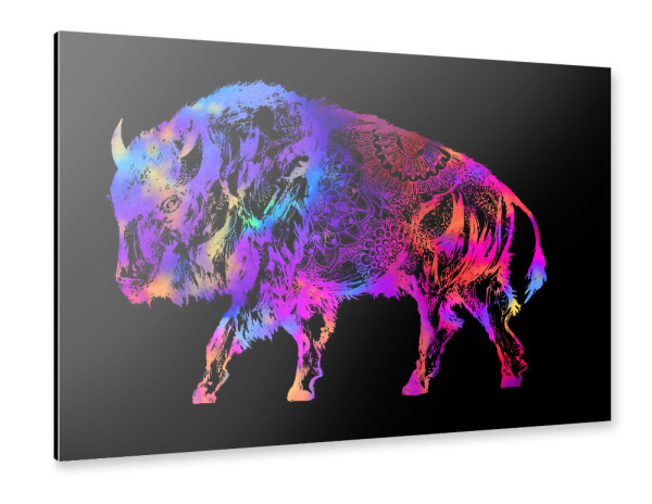 Alu-Dibond "Rainbow Buffalo" 30x20 cm artboxONE