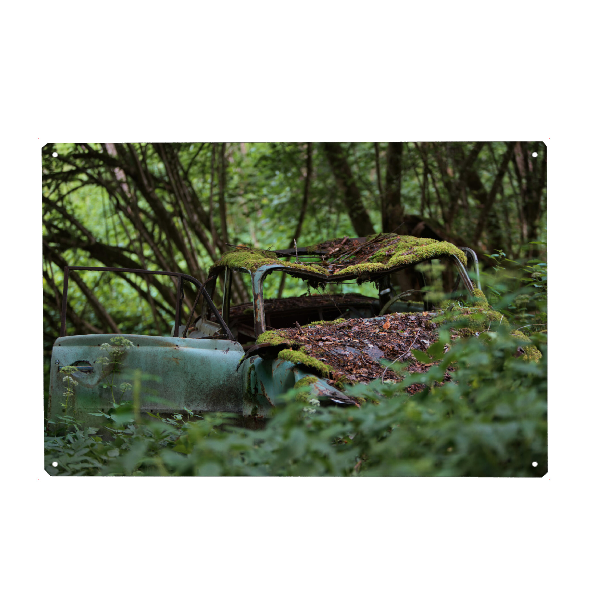 Holzbild "Behind the woods" artboxONE - Natur,Automobile