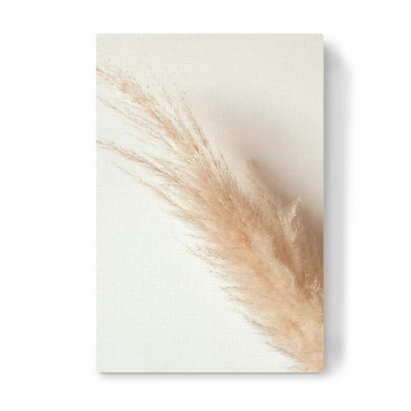 Leinwandbild "Tan pampas grass" artboxONE - Natur - Pampas,Gras,Natur,Nature,Leaves,Blätter,Deko,Boho,Bohemian,Plant,Pflanze,Botanical