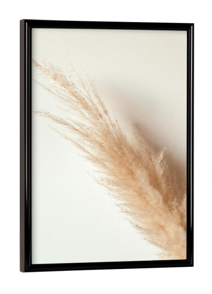 Poster mit schwarzem Rahmen "Tan pampas grass" artboxONE - Natur - Pampas,Gras,Natur,Nature,Leaves,Blätter,Deko,Boho,Bohemian,Plant,Pflanze,Botanical