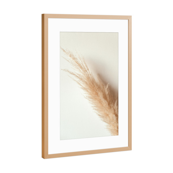 Poster mit Rahmen Kupfer "Tan pampas grass" artboxONE - Natur - Pampas,Gras,Natur,Nature,Leaves,Blätter,Deko,Boho,Bohemian,Plant,Pflanze,Botanical