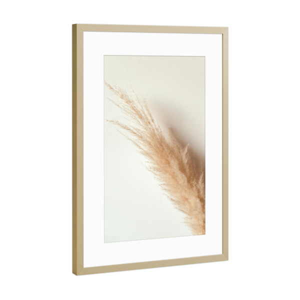 Poster mit Rahmen Gold "Tan pampas grass" artboxONE - Natur - Pampas,Gras,Natur,Nature,Leaves,Blätter,Deko,Boho,Bohemian,Plant,Pflanze,Botanical