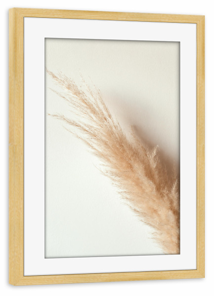 Poster mit Rahmen kiefer "Tan pampas grass" artboxONE - Natur - Pampas,Gras,Natur,Nature,Leaves,Blätter,Deko,Boho,Bohemian,Plant,Pflanze,Botanical