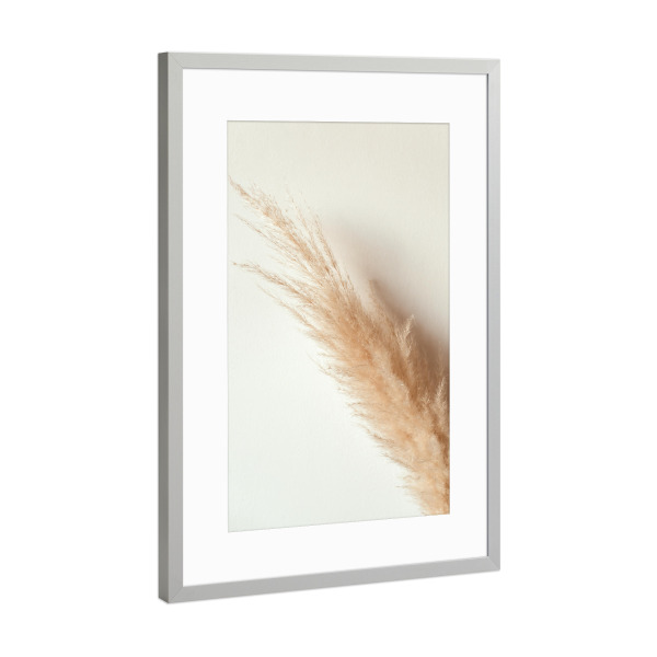 Poster mit Rahmen Silber "Tan pampas grass" artboxONE - Natur - Pampas,Gras,Natur,Nature,Leaves,Blätter,Deko,Boho,Bohemian,Plant,Pflanze,Botanical