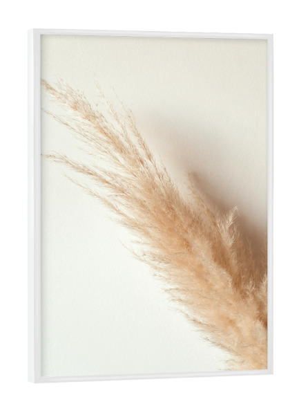 Poster mit weißem Rahmen "Tan pampas grass" artboxONE - Natur - Pampas,Gras,Natur,Nature,Leaves,Blätter,Deko,Boho,Bohemian,Plant,Pflanze,Botanical